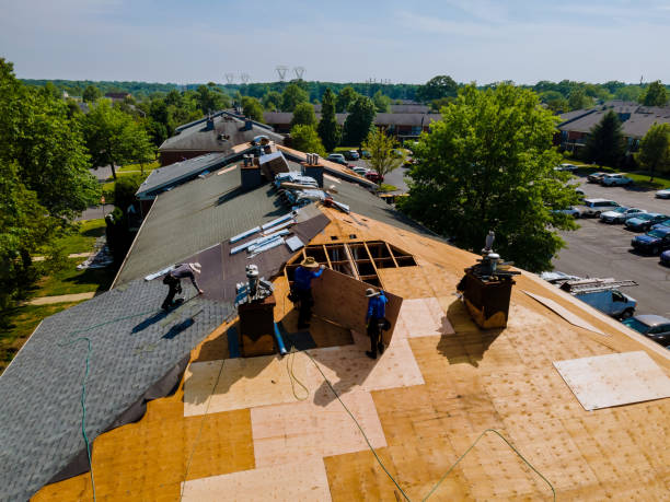 Roof Gutter Cleaning in Dallas Center, IA